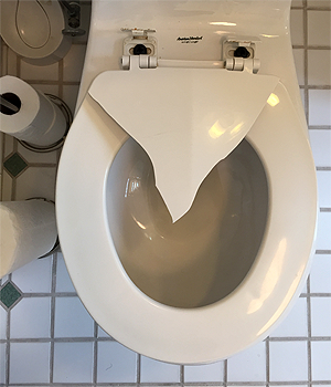 toiletseat