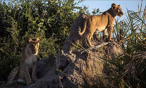 Botswana