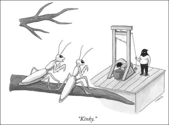 Kinky