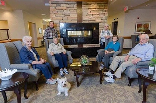 SeniorComplex