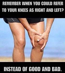 Knees