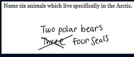 Sixanimals