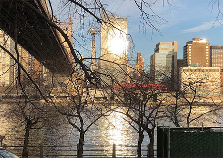 RooseveltIslandView