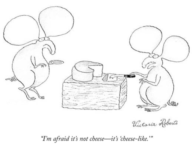 Cheese