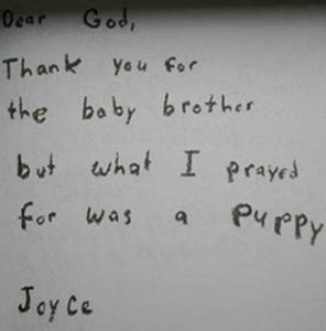 puppy